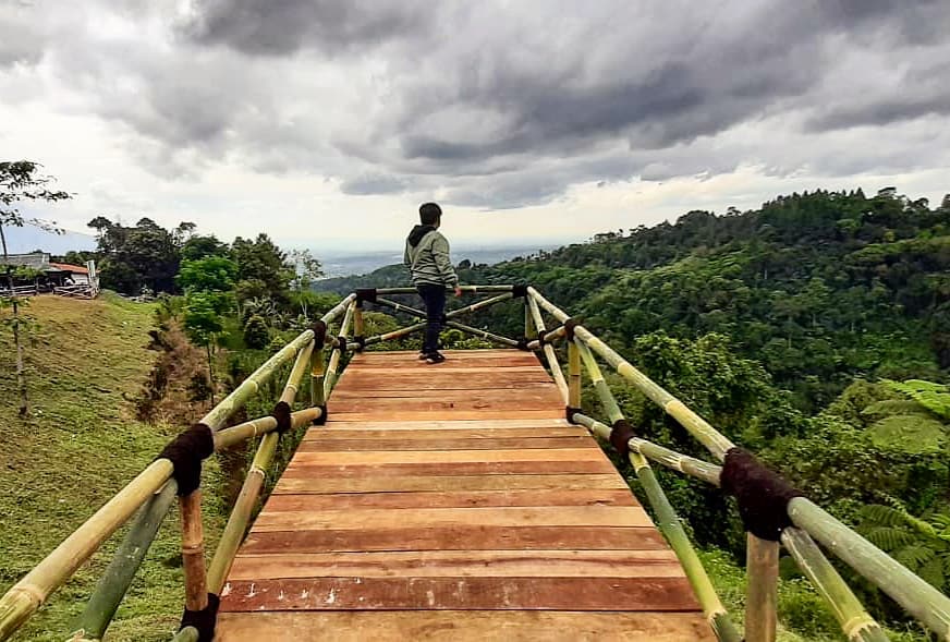 Puncak Halimun Camp